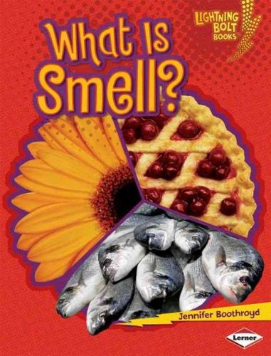 What Is Smell?smell 