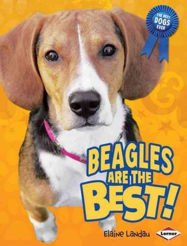 Beagles Are the Best!beagles 