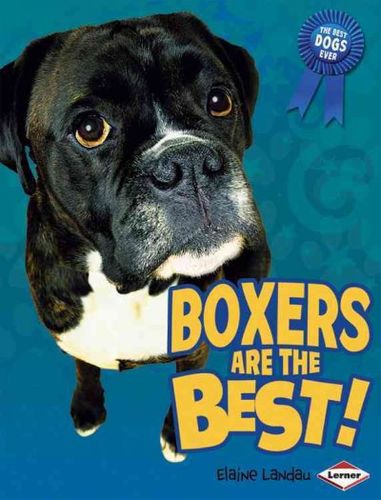 Boxers Are the Best!boxers 