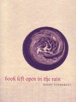 Book Left Open in the Rainbook 