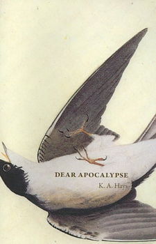 Dear Apocalypsedear 
