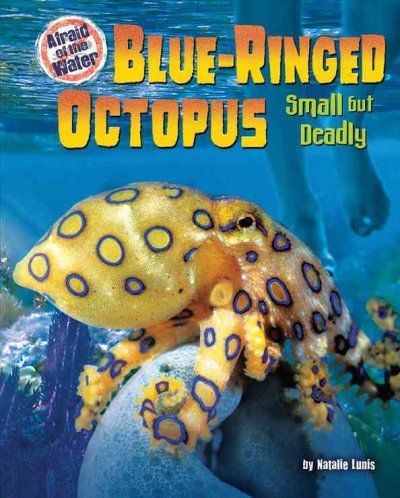 Blue-Ringed Octopusblue 