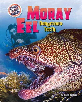 Moray Eelmoray 