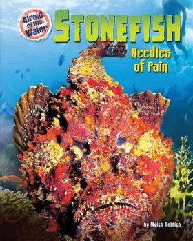 Stonefishstonefish 