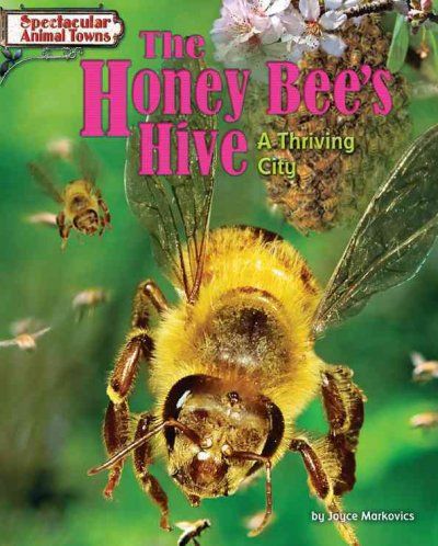 The Honey Bee's Hivehoney 