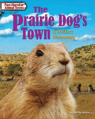 The Prairie Dog's Townprairie 