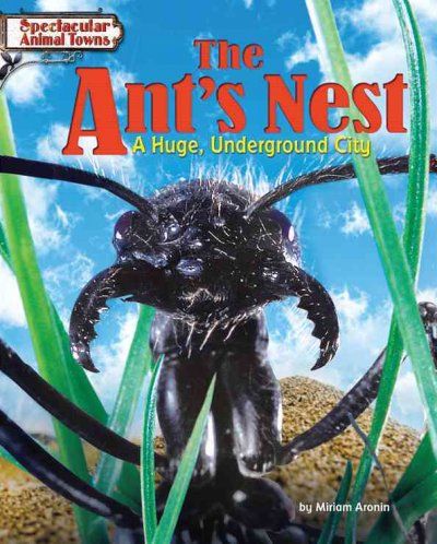 The Ant's Nestant 