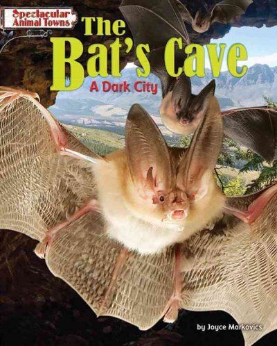 The Bat's Cavebat 