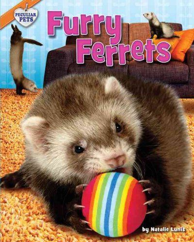 Furry Ferretsfurry 