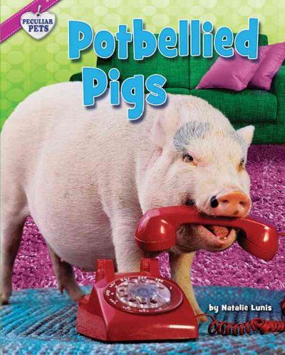 Potbellied Pigspotbellied 
