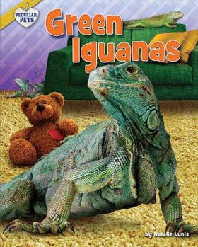 Green Iguanasgreen 