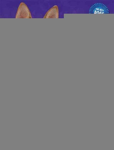 German Shepherds Are the Best!german 