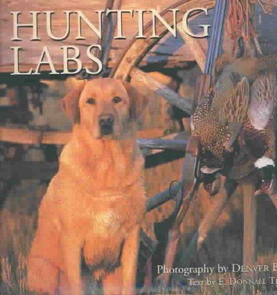 Hunting Labshunting 