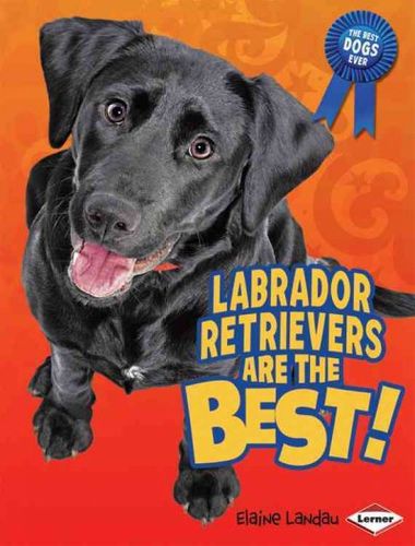 Labrador Retrievers Are the Best!labrador 