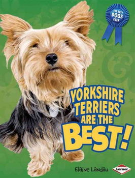 Yorkshire Terriers Are the Best!yorkshire 