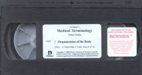 Organization of the Bodyorganization 