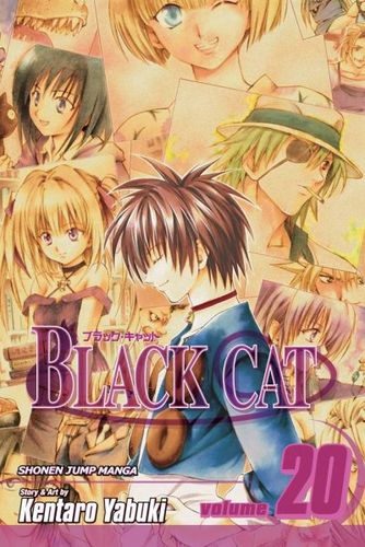 Black Cat 20black 