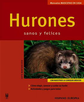 Hurones/ Ferretshurones 