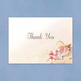 Seashell Thank You Cards Case Pack 1seashell 