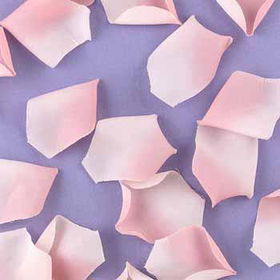 Pink Flower Petals Case Pack 1pink 