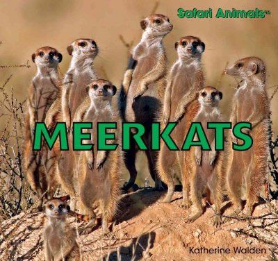 Meerkatsmeerkats 