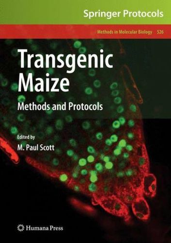 Transgenic Maizetransgenic 