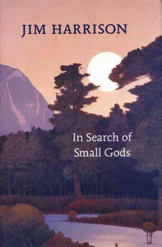 In Search of Small Godssearch 