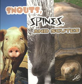 Snouts, Spines, & Scutessnouts 