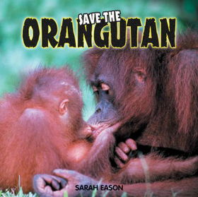 Save the Orangutanorangutan 