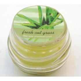 Fresh Cut Grass Scented Candle Case Pack 60fresh 