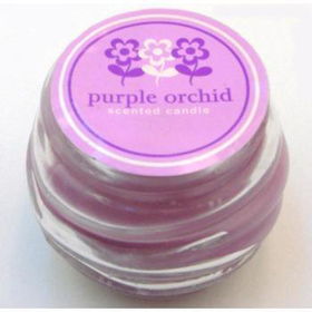Purple Orchid Scented Jar Candle Case Pack 60