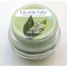 Lilly of the Valley Scented Candle Case Pack 60lilly 