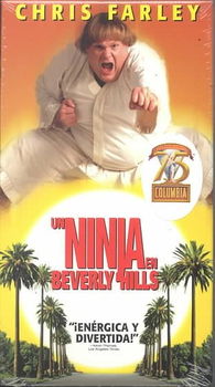 UN NINJA EM BEVERLY HILLSninja 