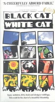 BLACK CAT WHITE CATblack 