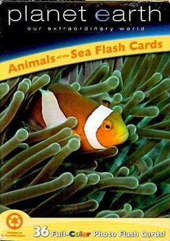 Planet Earth Animals of the Sea Flash Cardsplanet 