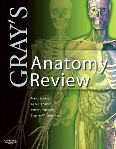 Gray's Anatomy Reviewgray 