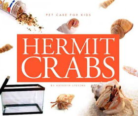 Hermit Crabshermit 