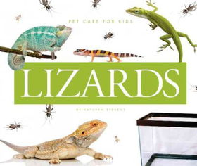 Lizardslizards 