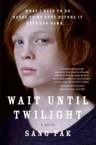 Wait Until Twilightwait 