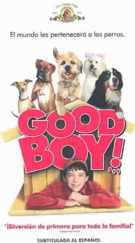 GOOD BOY (SPANISH)boy 