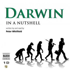 Darwindarwin 