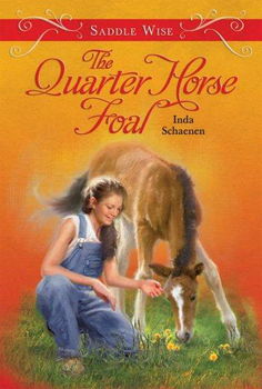 The Quarter Horse Foalquarter 