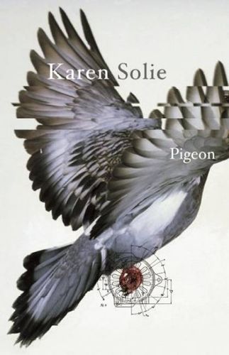 Pigeonpigeon 