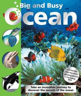 Big and Busy Oceanbig 