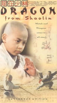 DRAGON FROM SHAOLINdragon 