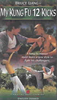 MY KUNG FU 12 KICKSkung 