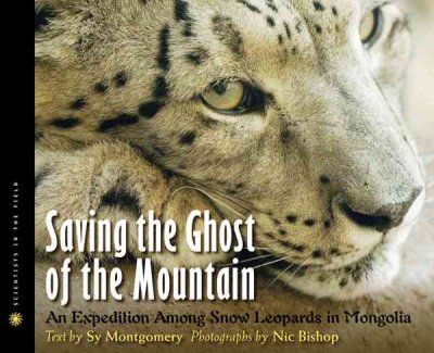 Saving the Ghost of the Mountainsaving 
