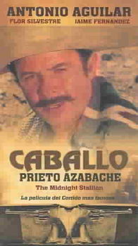 CABALLO PRIETO AZABACHEcaballo 