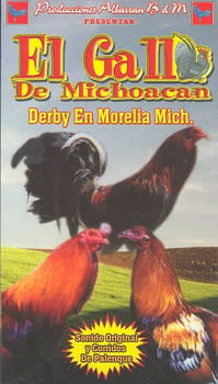 GALLO DE MICHOACANgallo 