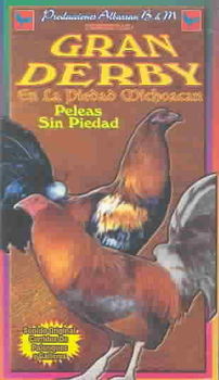 GRAN DERBYgran 